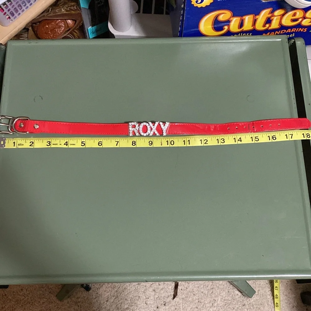 EUC MATCHING Dog Collar and Leash set personalized ROXY